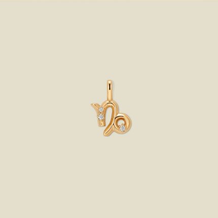 Capricorn Zodiac Charm
