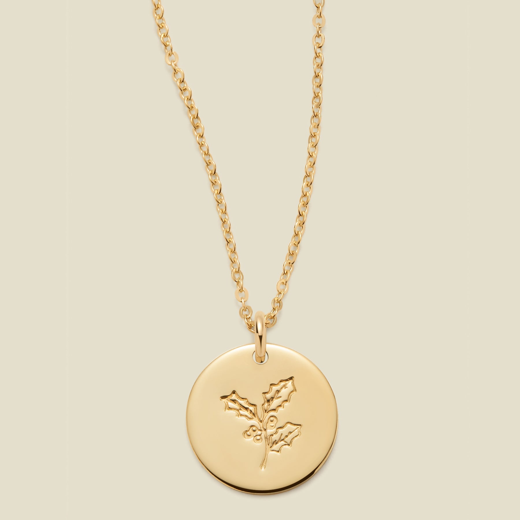 december-birth-flower-necklace-gold-filled-1-2-16-18-necklace-35924177387593 December Birth Flower Necklace - 图片 1