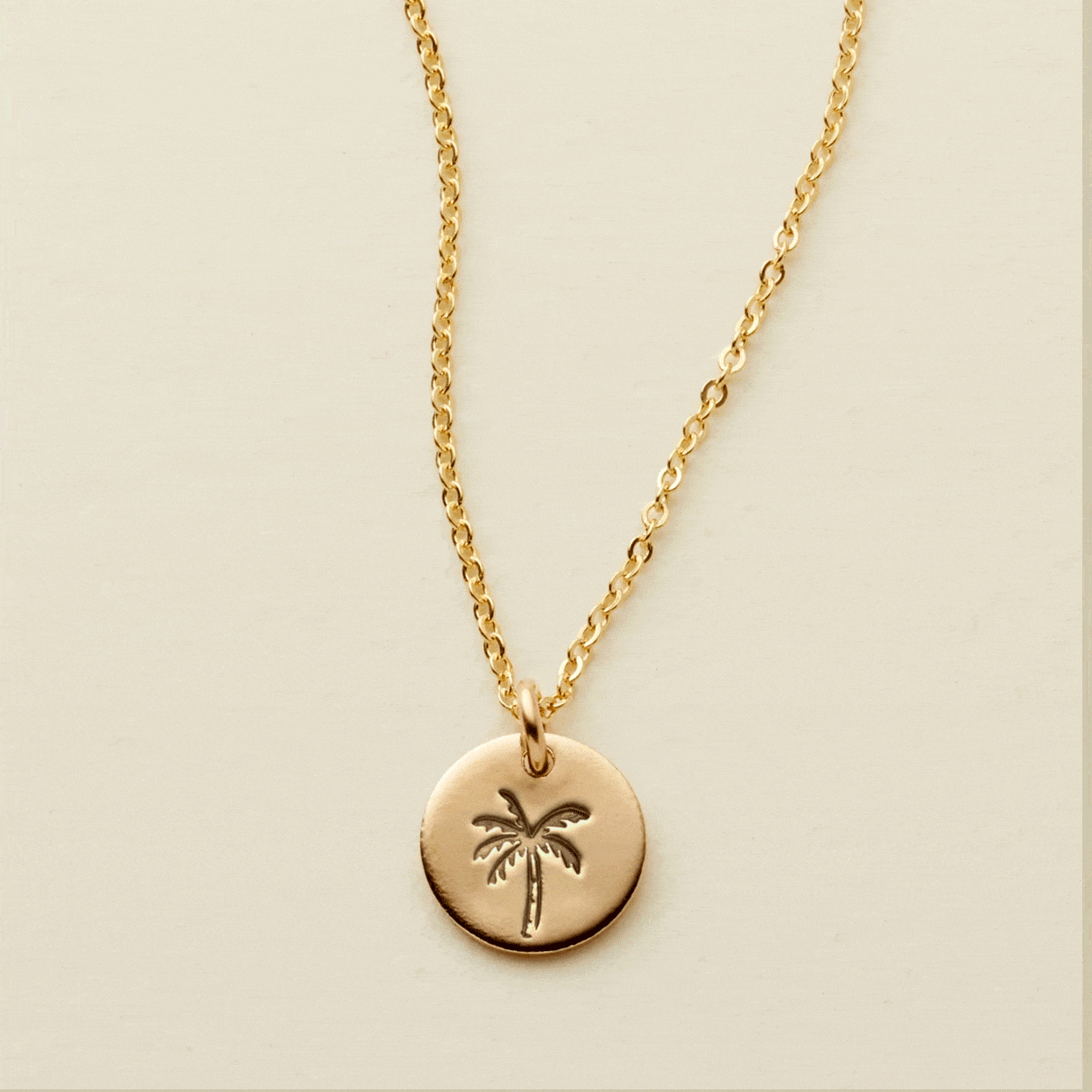 grounded-disc-necklace-3-8-necklace-7420658974793 Grounded Disc Necklace - 图片 1