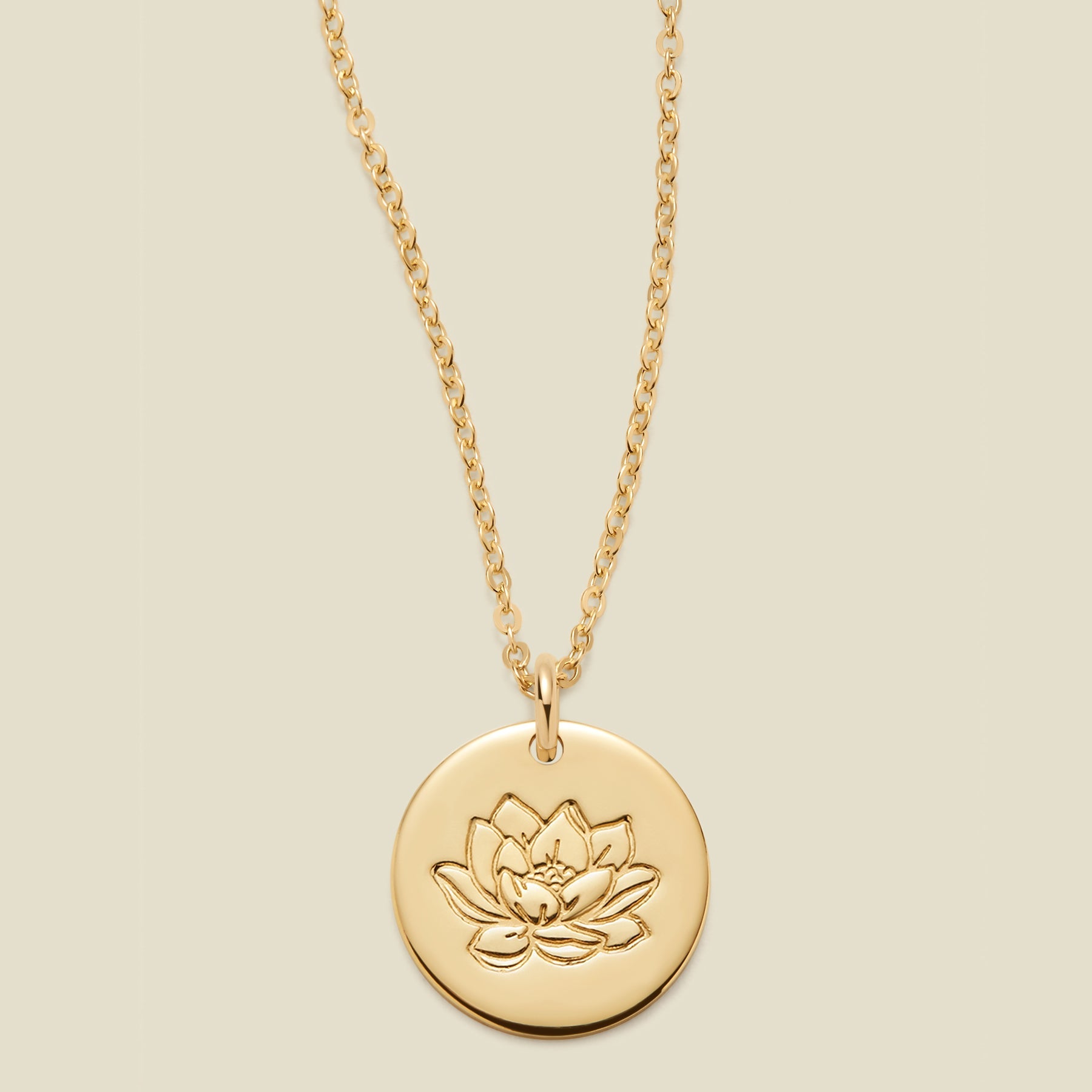 july-birth-flower-necklace-gold-filled-1-2-16-18-necklace-35923671023689 July Birth Flower Necklace - 图片 1